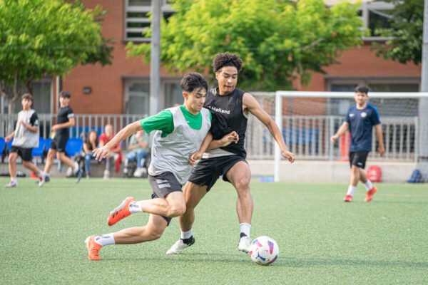Intermediación Deportiva: Inicia con Elite Futbol Manager